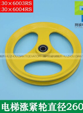 蒂森永大通力富士达电梯涨紧轮限速器装置XS3-B 260*30*6003/6004
