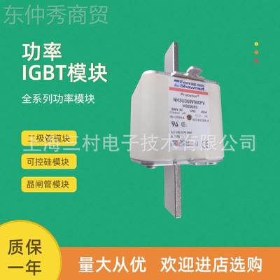 全新熔1断器保险丝FWP质保NH1GG50V20/2013C4 NH1GG504V25/N20860