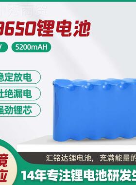 货1650锂电池组带大容BXC量5现200mAh出线端子电动车充电锂8电池