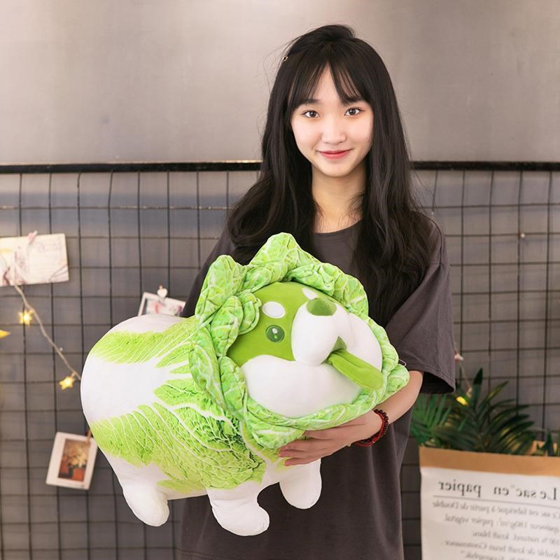 菜狗玩偶抱枕靠垫创意软萌毛绒公仔玩偶沙发汽车办公室床头