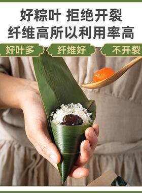干粽子叶大张干棕叶大号新叶包粽子的叶子端午节家用商用粽叶