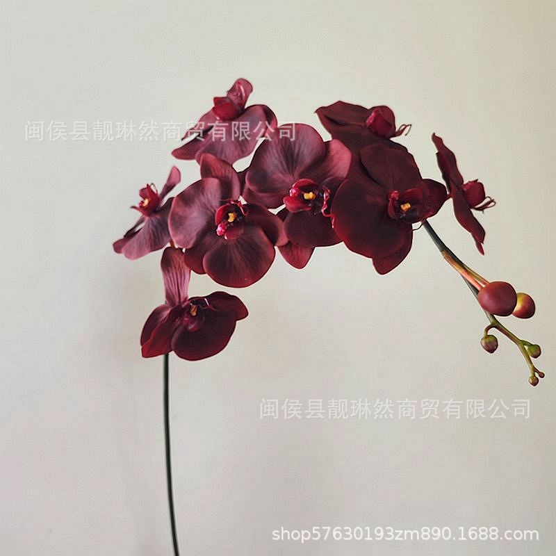 高档精品保湿手感肉粉色 蝴蝶兰 花艺师高仿真花装饰假花材单枝