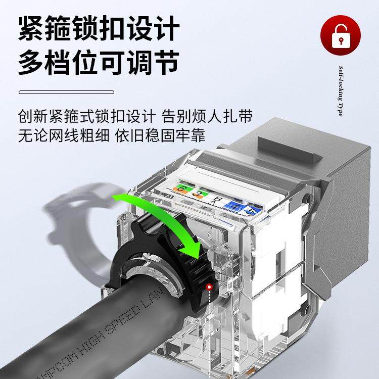 安普康AMPCOM超六类网络模块面板锁扣免打CAT6AE双口RJ45插座电脑