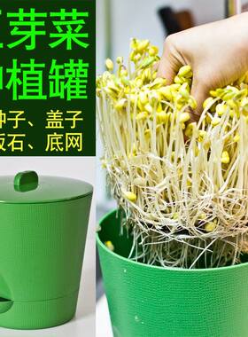 豆芽机家用育苗盘豆芽菜桶生绿豆黄豆发芽盆神器豆芽罐种植塑料盆