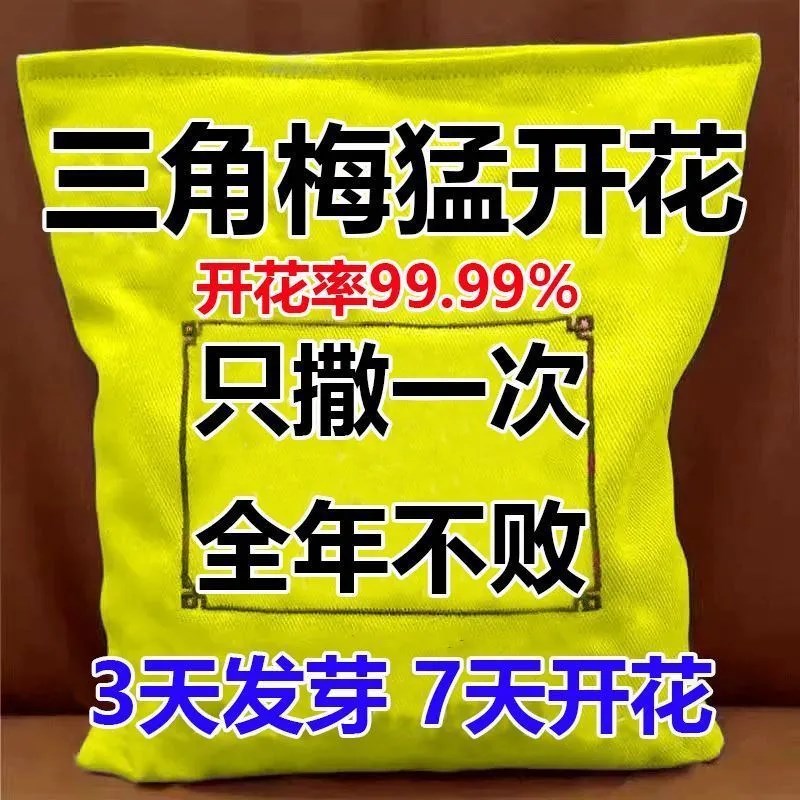 三角梅专用开花粉促芽剂催光x杆发芽治黄叶落叶枯萎壮根助生长肥