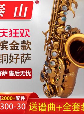 泰山小高音萨克斯管风降B调TSSS-AX1金铜材质香槟金萨克斯