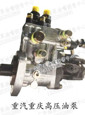 原厂重庆云内YN27CRD-110006电喷油泵总成CB2E916E/SHA10001325