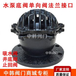 H42X-6法兰底阀 单向阀止回阀铸铁水泵底阀DN50 80 100 150 200