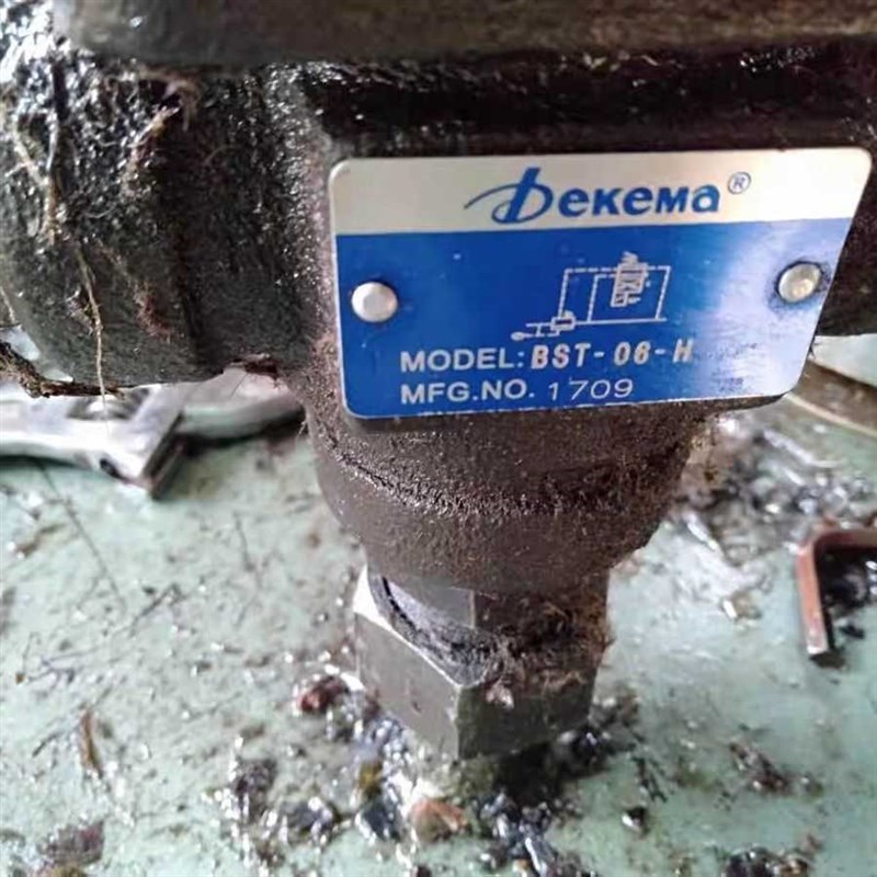 德克玛Dekema电磁溢流 管式 BST-06-H带先导 原装品质保证