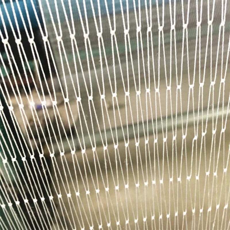 涤纶复丝防鸟网果树樱桃葡萄梨树蓝莓果园防鸟用网鱼塘天网防护网