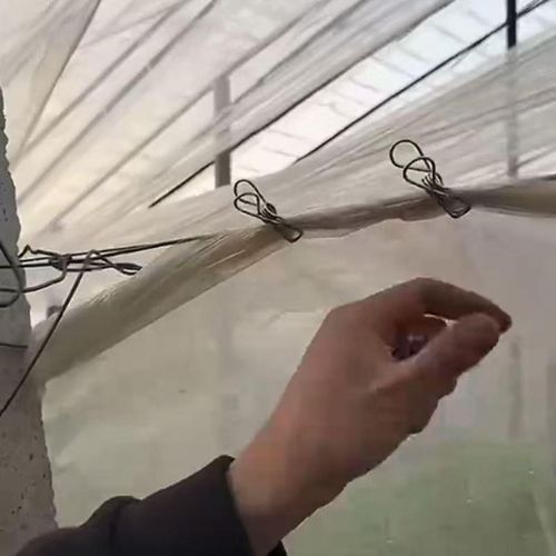 不锈钢二膜夹子大棚不绣钢温室大棚内二膜塑料薄固定朋鹏农用专线