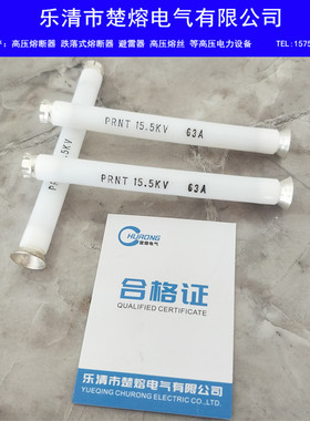 双敏熔丝PRNT-15.5KV/63A美式箱变插入式油浸式支架用压熔断器