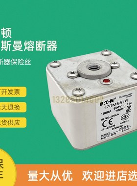 快速熔断器70556 70557 705 70553