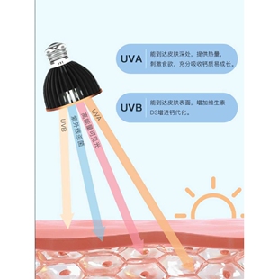 新型取暖灯泡宠物保暖灯爬宠加热夜灯龟缸专用灯乌龟晒背灯usb杀