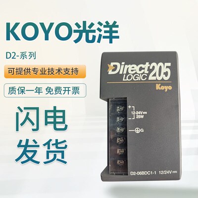 KOYO光洋原装D2-06BDC1-1 09B-1 263 CTRINT 16TD1-2 D2-16ND3-2