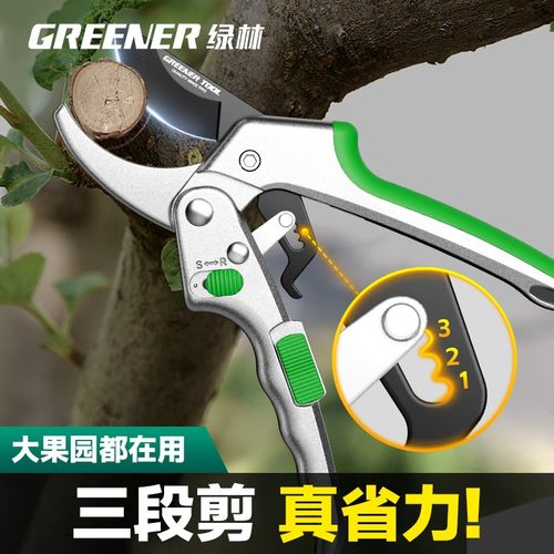绿林剪枝剪刀园林花艺修剪树枝剪刀果树剪刀粗大花剪园艺剪子工具