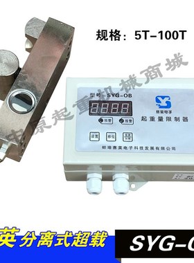 龙门吊/起重机 空操旁压式起重量限制器 蚌埠赛英SYG-OB型5T超载