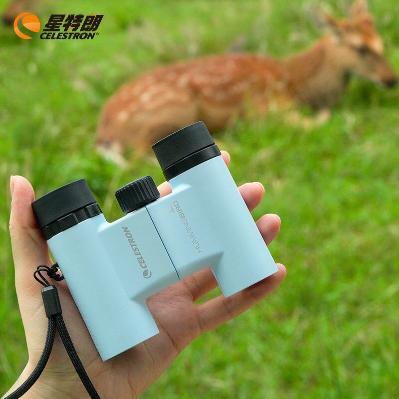 星特朗蜂鸟6X21小型迷你便携高清双筒望远镜演唱会话剧观剧舞台剧