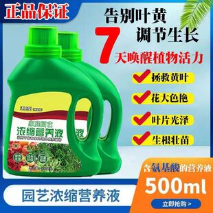 【全新升级】植物再生剂浓缩营养液绿植通用型花卉盆栽家庭园艺HF