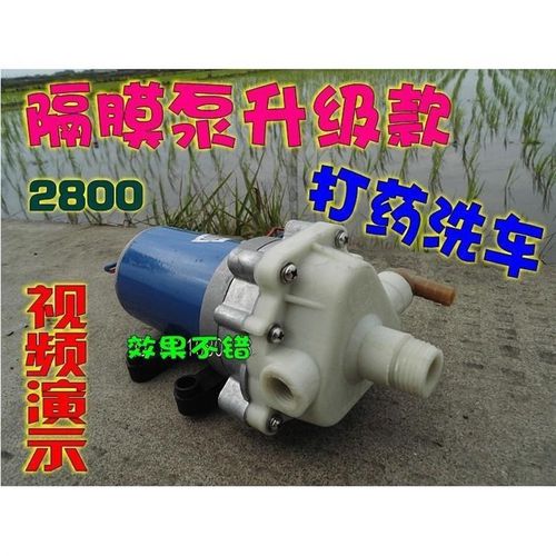 12V2800直流洗车泵/农用电动喷雾器打药机/刷车器隔膜泵自吸灌溉
