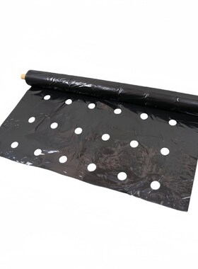 打孔黑色地膜除草保温保湿抗老化药材小葱辣椒朝天椒专用开孔地膜