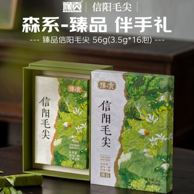 豫贡信阳毛尖明前招待56g伴手礼