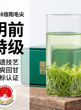 2026明前特级信阳毛尖嫩芽新茶