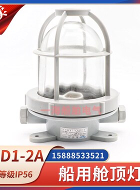 船用钢质白炽舱顶灯CCD1-2走道照明灯防水甲板灯220V60W白炽灯