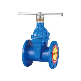 塘沽TVI加密法兰闸PN16国标高压闸法兰式 球墨铸铁DN65闸