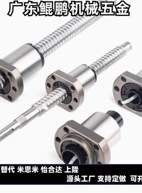 滚珠丝杆C-SE SB0802 1002 1505 1516 1520 2005 2010 3210