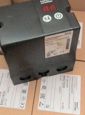 IFD258-5/1W数显点火器,IFS258-5/1W自动点火器