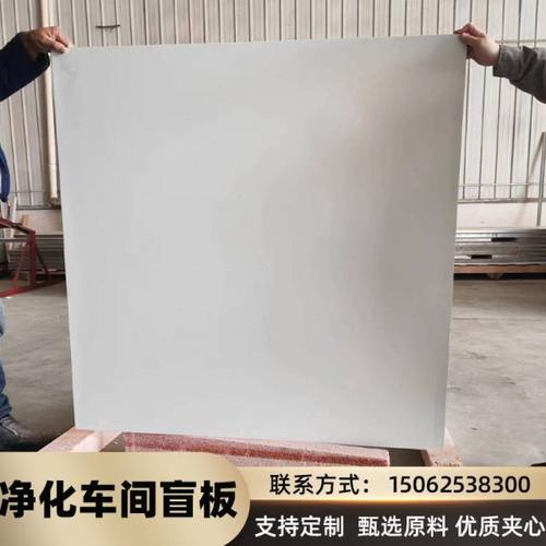 无尘车间净化板盲板 FFU蜂窝吊顶  冷板烤漆防火天花盲板