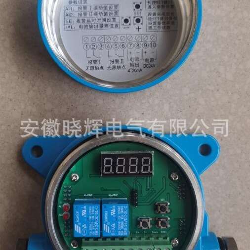 XHZD-B-II-A1-B2-C2-D2电子振动开关