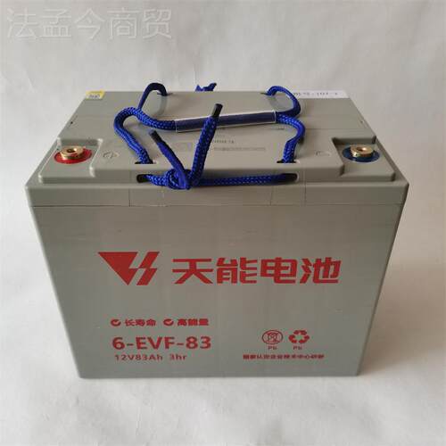 F天能新能源电车电动汽车堆高BKR车用6-V-73、6E-EVF-动83铅酸蓄