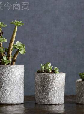 鲜花泥花卉MUN陶室多肉植物文竹绿内萝盆栽花苗兰花吊兰干花水花