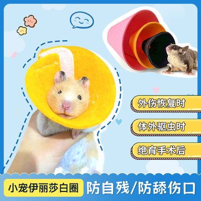 仓鼠伊丽莎白圈蜜袋鼯脖圈花枝鼠防咬项圈洗澡小宠用品防自残脖圈