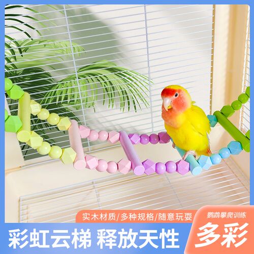 鹦鹉彩色攀爬云梯秋千鸟笼装饰牡丹玄凤虎皮笼子饲养箱宠用品大全