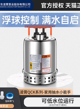 广东凌霄水泵QCK型304不锈钢潜水泵220V鱼池养殖循环泵自动抽水泵