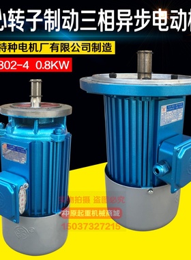 YDE8024 08KW 90L4 15南京特种软启动电机端梁起重机行走电机