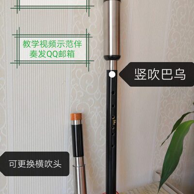 红梅葫芦丝竖吹巴乌228元横竖二用248元真正黑檀木不开裂不发霉