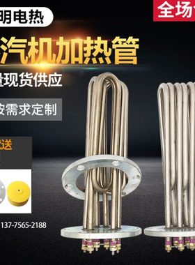 蒸烫机 蒸汽发生器140法兰 锅炉加热管 380V6/9/12/18/24/27/30Kw