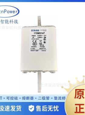 170M5190 170M5191 170M5192 170M5193 170M5194直流快速熔断器