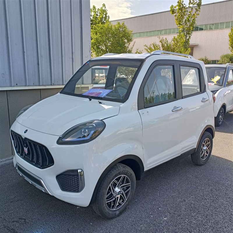 新能源家用电动小汽车全封闭四轮电动车 新款老头乐代步 油电两用