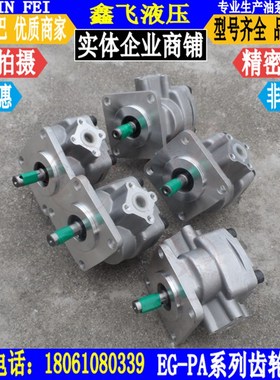 EG-PA-F2R F3R F4R F6R F7R F9R F10R F12R F11R F5R高压齿轮油泵