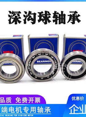 进口NSK轴承16009 16010 16011 16012 16013 16014 16015V 16016Z