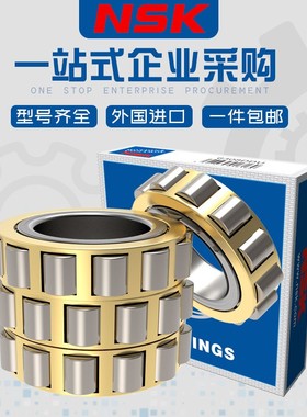 摆线针减速机配件偏心轴承RN313 RN219 RN222 RN228  RN328M