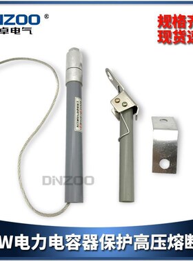 BR2W-7/80P 24A 72A BR2W-7/50P 48A BR2W-7/50P电容器高压熔断器