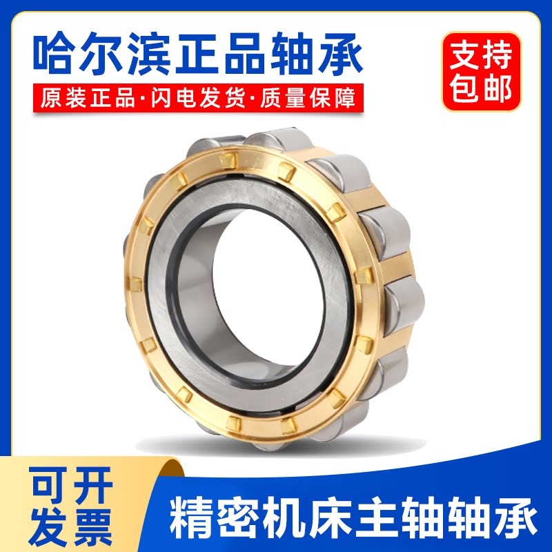 哈尔滨圆柱滚子轴承 RN 204 205 206 207 208 209 305 306 307 M