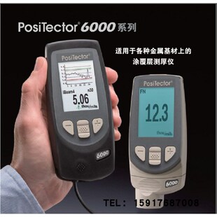 进口 F45S3原装 美国DeFelsko狄夫斯高涂层测厚仪F45S1 F45S2
