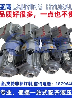 YSB5014/5024 /5624/5614隔爆型三相异步380V嵊州市长风电机油泵